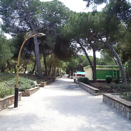 Mas De Tanit Le Sidon
